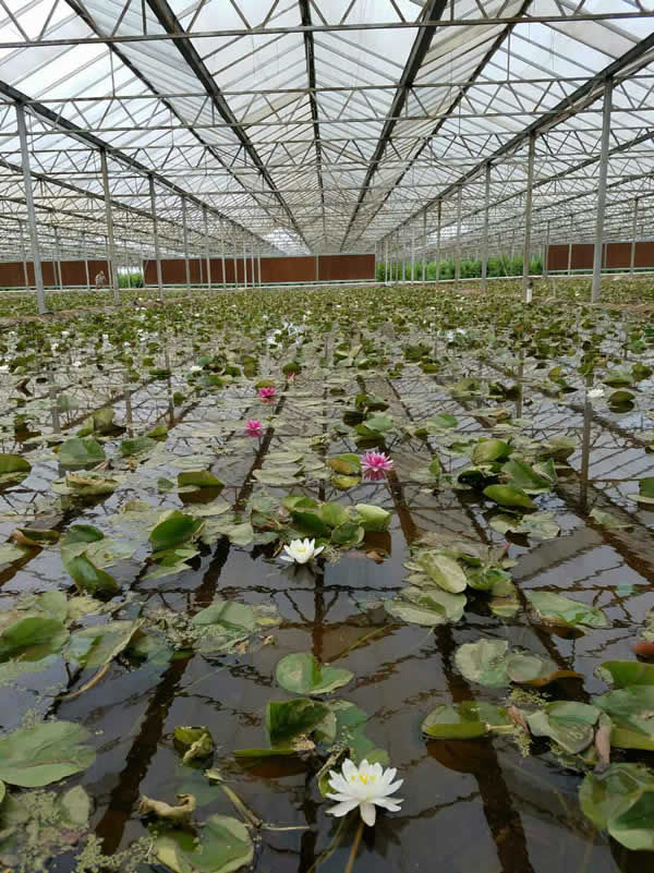 施工现场
